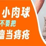 肛门脱出&ldquo;小肉球&rdquo;  医生：千万不要把肛乳头瘤当痔疮！