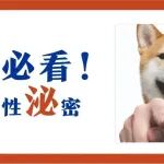 男人必看！解读男性前&ldquo;腺&rdquo;&ldquo;泌&rdquo;密