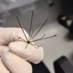 &ldquo;医生，我的滤器，取还是留？&rdquo;血管外科医生：遵医嘱！