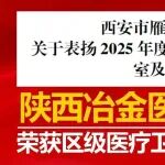 祝贺！陕西冶金医院骨科宋寒斌荣获区级医疗卫生工作表现突出个人