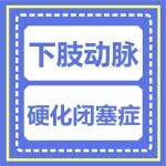 下肢动脉硬化闭塞症+下肢静脉曲张，手术还是保守治疗根据什么来决定？